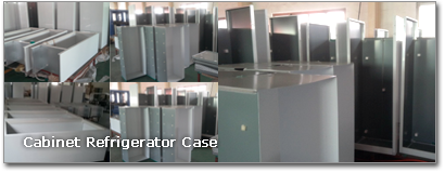 Cabinet Refrigerator Case
