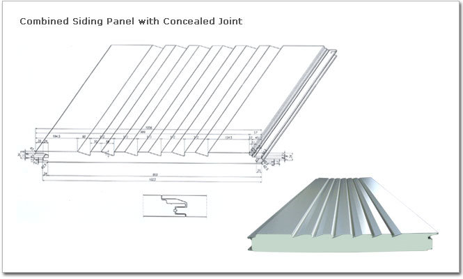 SingleSkinPanel